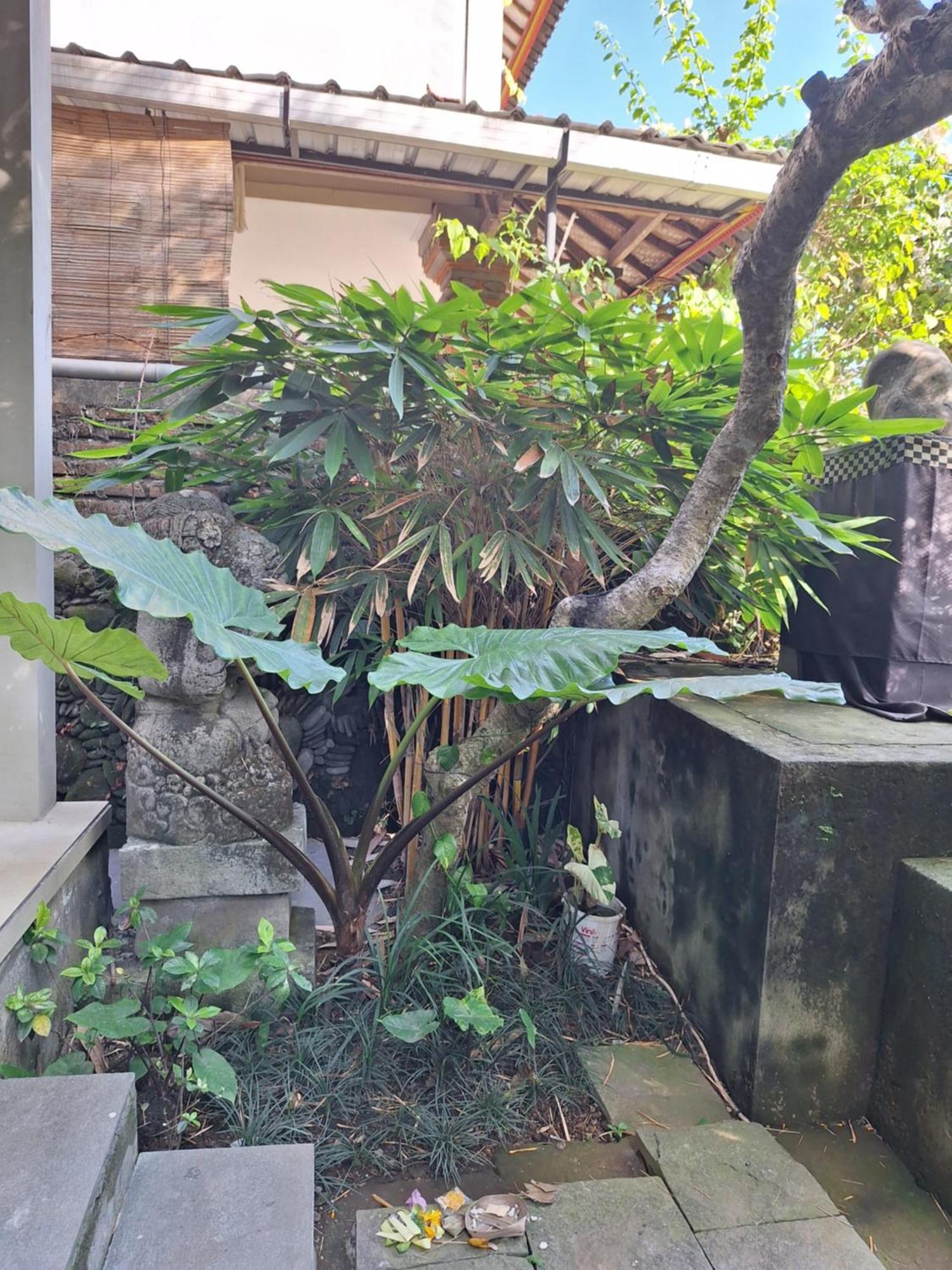 Kasapa Inn Ubud  Exterior photo